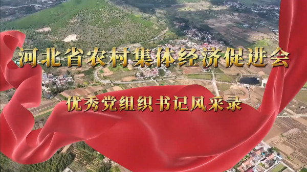 沙国武：为这样一群以发展农村集体经济为己任的河北人点赞