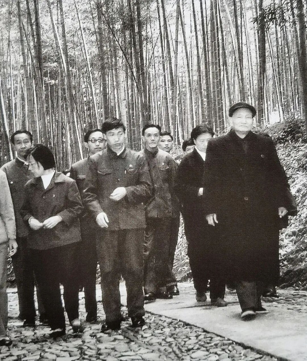 陈云：治理污染、保护环境，造福子孙后代