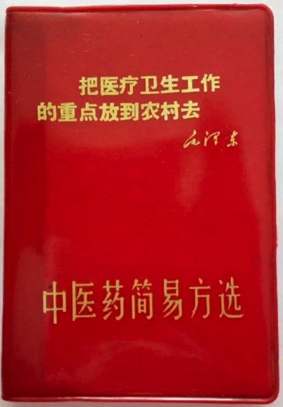 二十大主席团成员张定宇:我退休之后,去乡镇卫生院