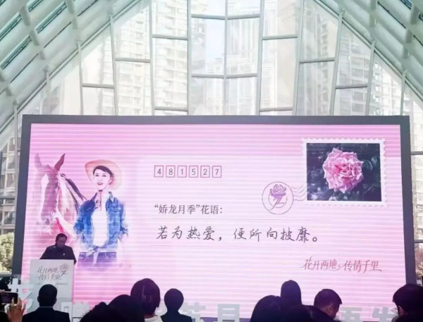 陈先义：贺娇龙：若为热爱，便所向披靡