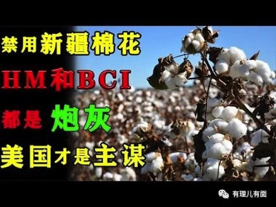 用“纸人”造谣东航空难,居心何在?