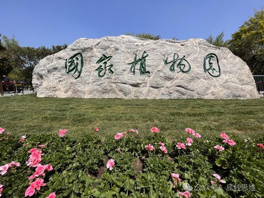 被外国间谍盯上的“亲本种子”，有多珍贵？