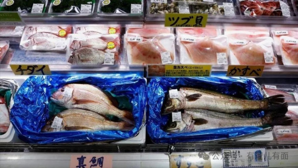 核污水排海,中国来检测