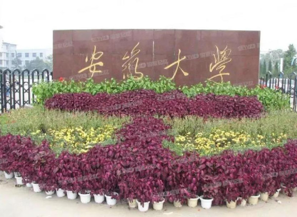 细数毛主席亲笔题写的那些校名