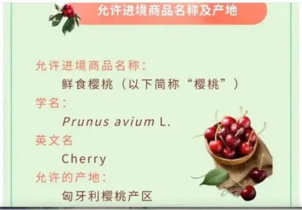 布林肯最后通牒落地,美国提高中国电动车关税100%