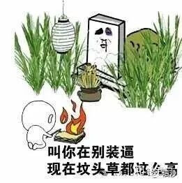 坑爹之王，终于去见他爹卡扎菲了！
