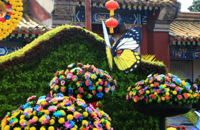 陈先义:秋高时节逢盛会,开封十月万菊吟