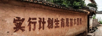 全球低生育?中国怎么办?参考这个国家!