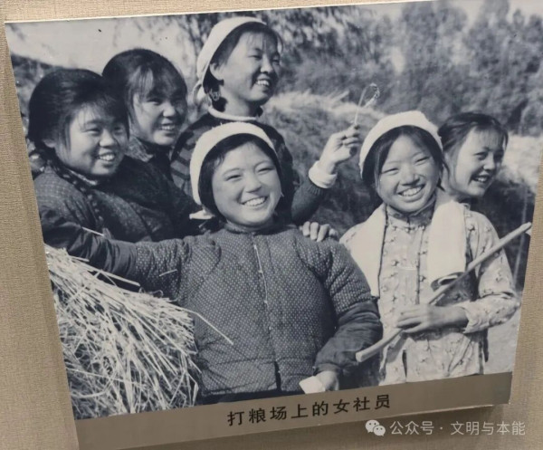陶鲁笳：建国初期关于建立农村合作社的争论