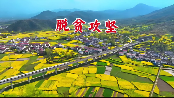 全根先：要“做大蛋糕”，更要“分好蛋糕”！