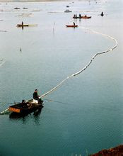微山湖 微山湖