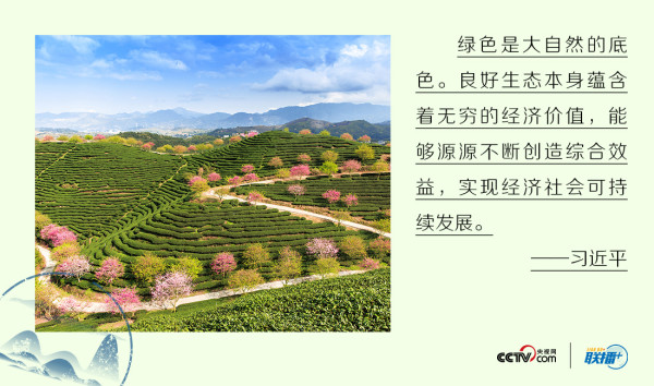 这个理念 习近平希望传导至世界各个角落