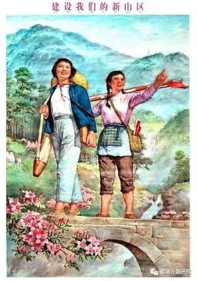 回忆母亲在知青办工作的岁月