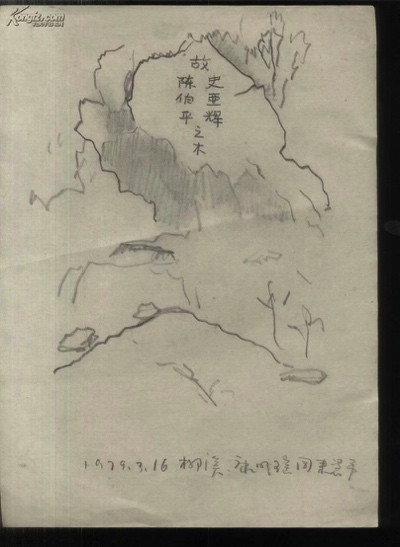 陈秀兰：我的生父苏林燕和生母远征