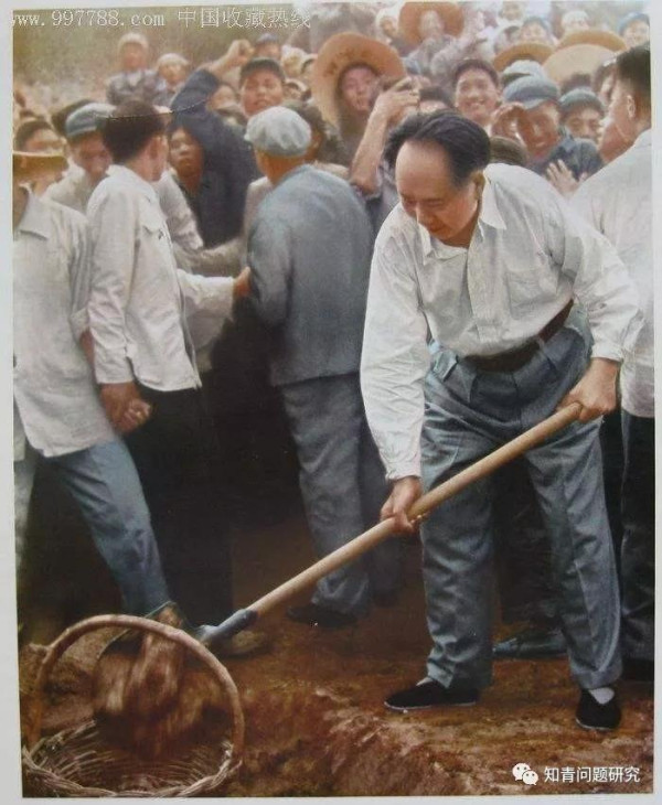老知青谈毛主席为何要号召知识青年上山下乡?