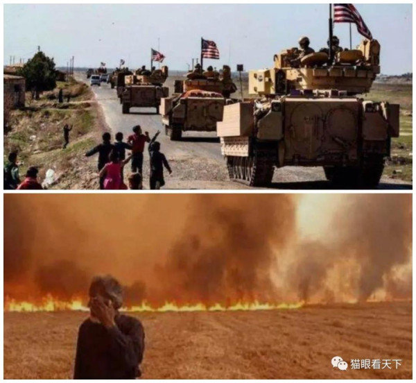 美国人,你这是连大熊猫都想抢了?