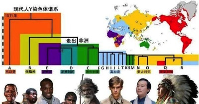 复旦赶在禁止遗传资源外流法规生效前,在英国发布中国人基因图谱