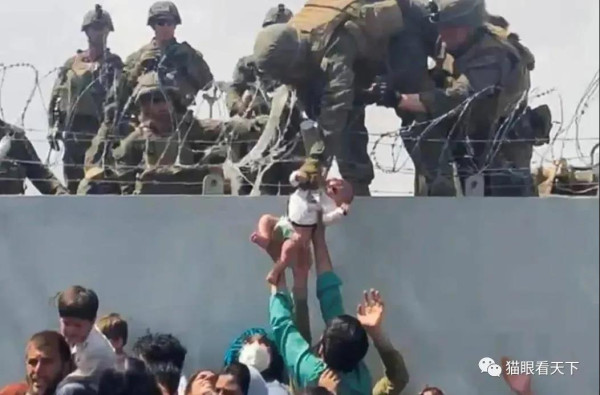 美国人,你这是连大熊猫都想抢了?
