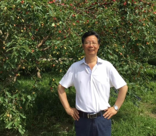 全根先:能不能少玩一点儿跨界