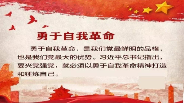 陈先义：实践证明将改错的再改回来是更为关键的改革