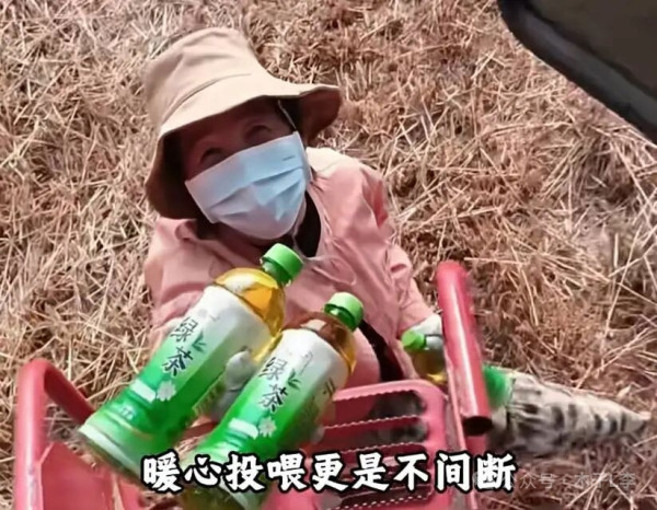 陈先义:麦收季节说不尽的河南