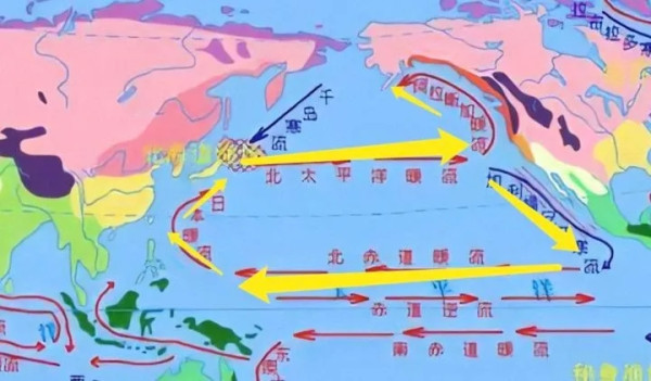 外部世界的险恶可能超过你的想象:谈谈日本向太平洋排核废水事件