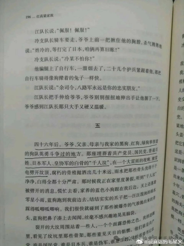 莫言在《红高粱家族》中为何要将抗日英雄和侵华日军合葬？