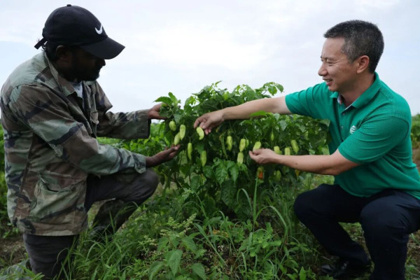 周力：国外政要和学界关于当代国际秩序变革的观点述评