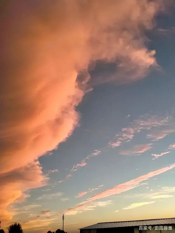 张文木:国家财富是随着枪杆子的指向而不是随着所谓文明指数向强者转移的