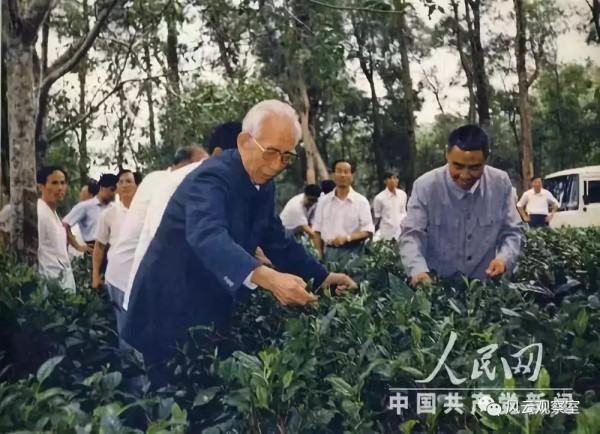 王震临终嘱托！看完泪流满面……