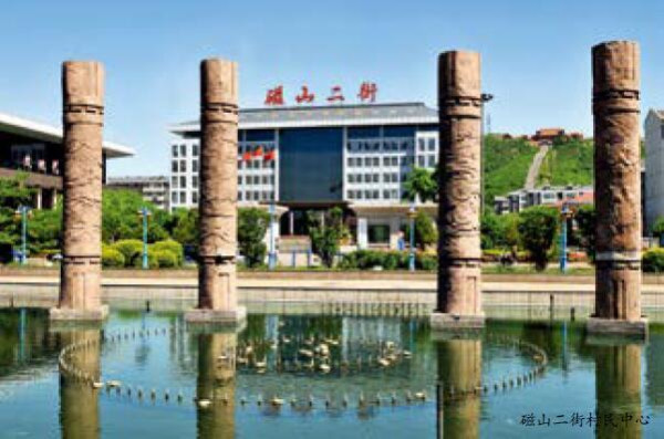 河北先进农村党组织发展壮大集体经济
