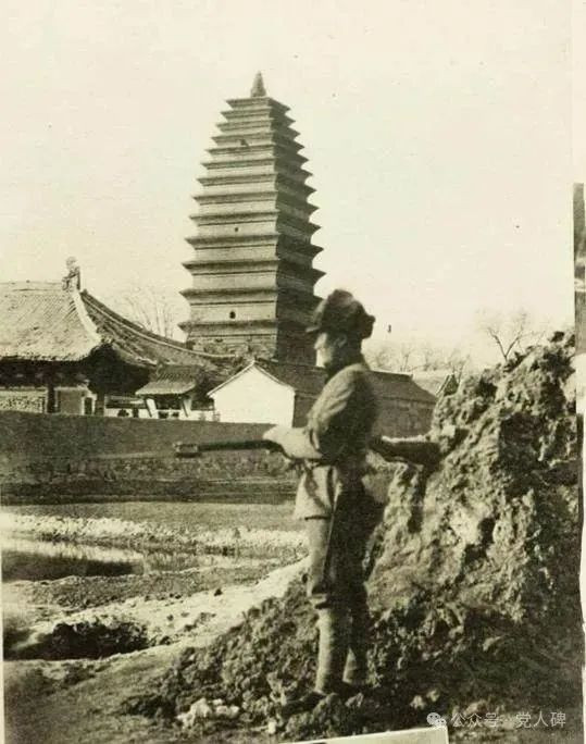 有组织VS没组织：从一场日伪制造屠杀惨案看国共抗日的区别