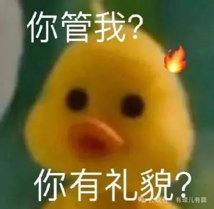 普京访朝，美韩化身“焦虑者联盟”