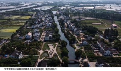 乡村集体和集体经济组织应在乡村振兴中要发挥主体作用