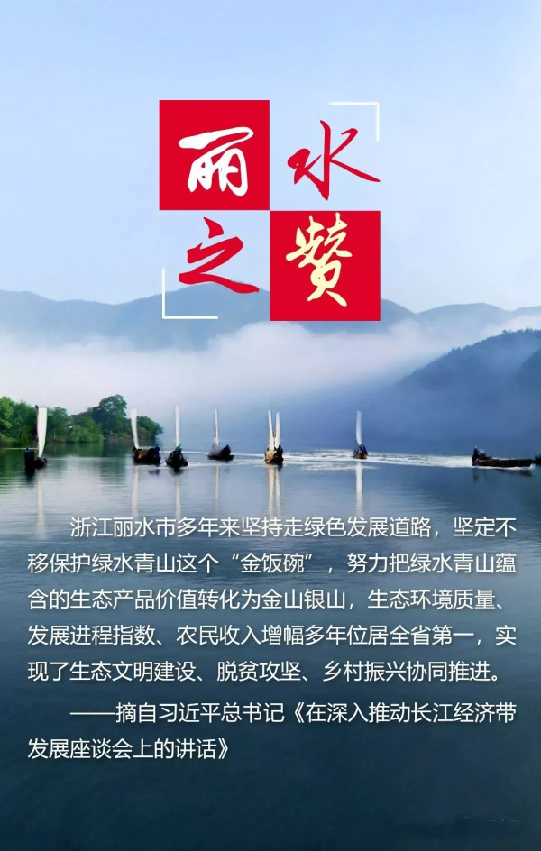 胡海峰：让浙西南红色精神放射出新的时代光芒