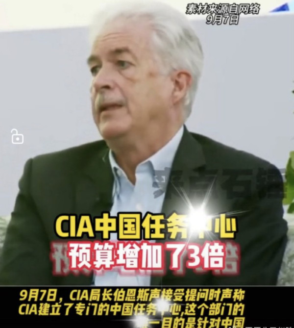 16亿狗粮,能养多少狗?