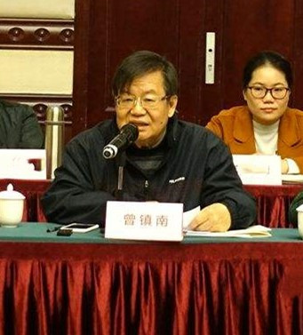 曾镇南：凝聚史识,提高艺术