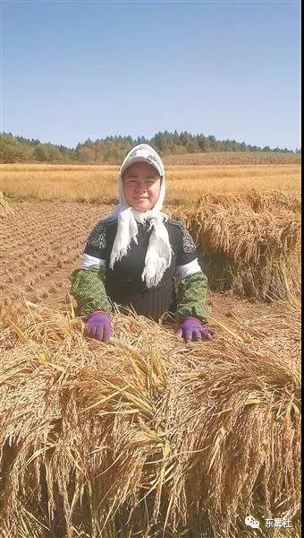 北大才女《卖米》写哭整个朋友圈,但你们知道她是怎样一个人吗?