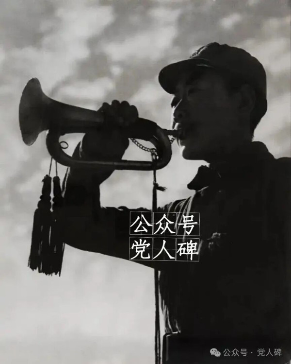 剜到筐里都是菜？发展党员须慎重！