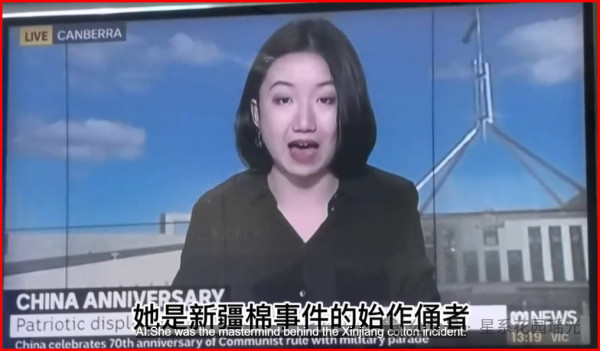 那个炒作“新疆棉”的女人，在悉尼街头被警察打，然后四处流浪