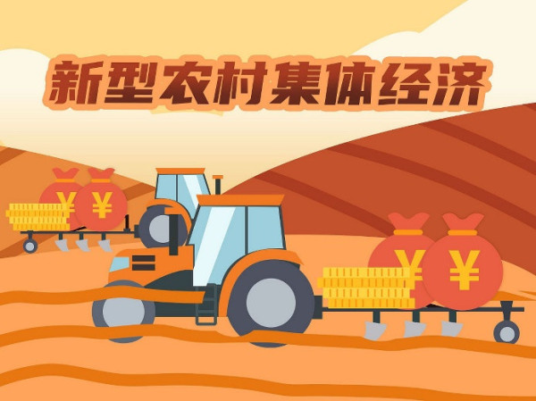 江宇:发展集体经济,实现共同富裕,时不我待!