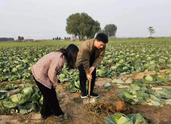 如何提振农业？保定有妙招