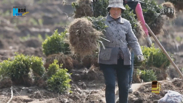 她带着乡亲们，把穷山沟干成了4A景区！