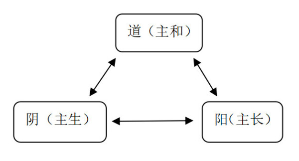 余云辉：为什么白萝卜不能讲功效而转基因产品可以上餐桌？