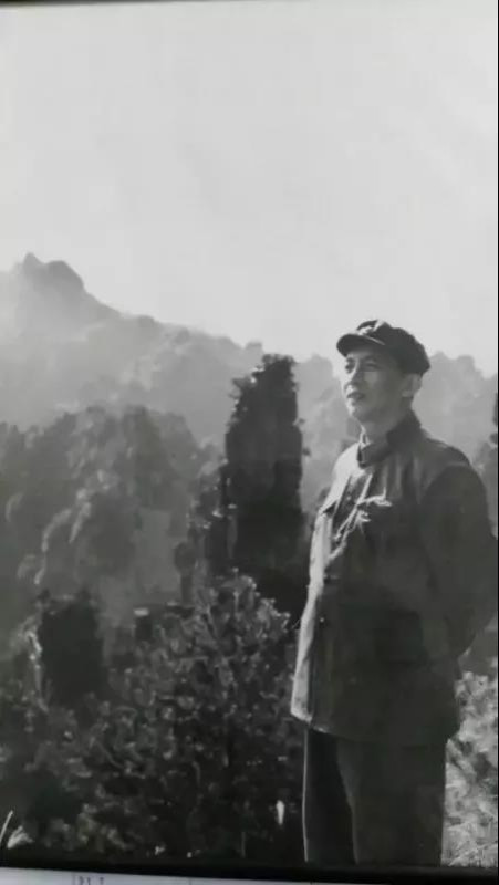 著名诗人韩笑长诗《毛泽东颂》序诗——《绿色草地》