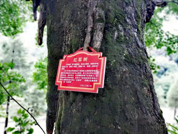 武当山是红色的