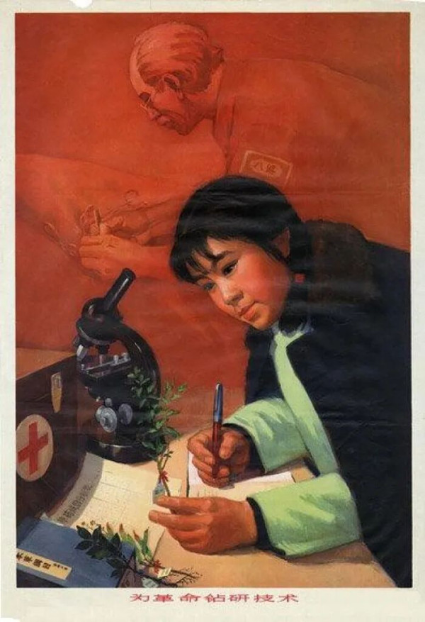 1973年，一位好莱坞女影星眼中的中国妇女