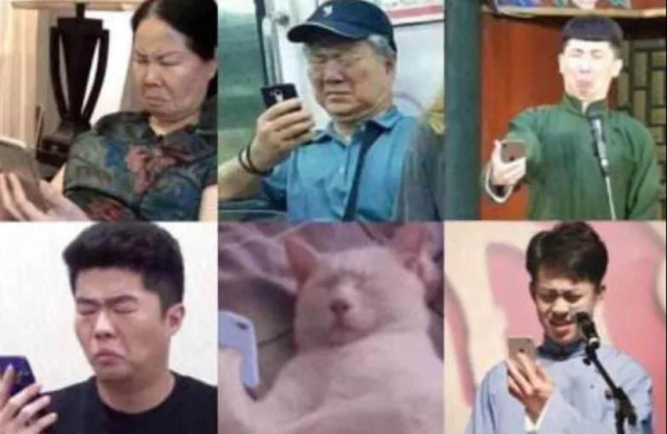拆穿二鬼子袁莉的画皮,也论“人民的生命、自由、福祉和尊严”