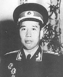 王震:“毛主席一点也没有估计错”