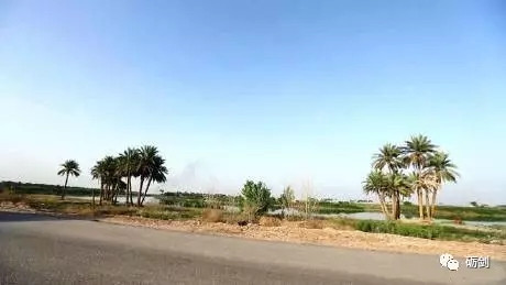 军工巨坑:失败的“和平典范”项目(四)
